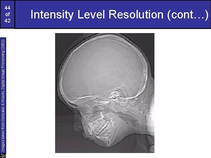 Images taken from Gonzalez & Woods, Digital Image Processing (2002) 44 of 42 Intensity