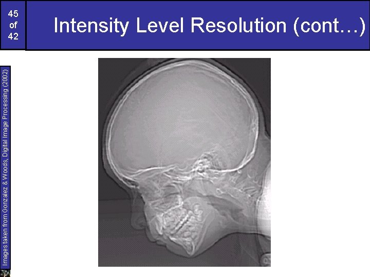 Images taken from Gonzalez & Woods, Digital Image Processing (2002) 45 of 42 Intensity
