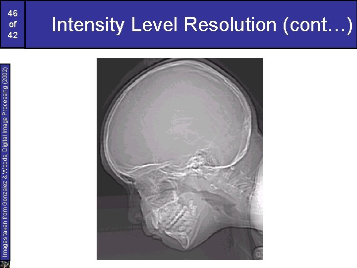 Images taken from Gonzalez & Woods, Digital Image Processing (2002) 46 of 42 Intensity