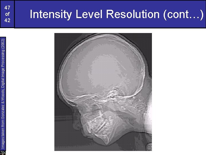 Images taken from Gonzalez & Woods, Digital Image Processing (2002) 47 of 42 Intensity