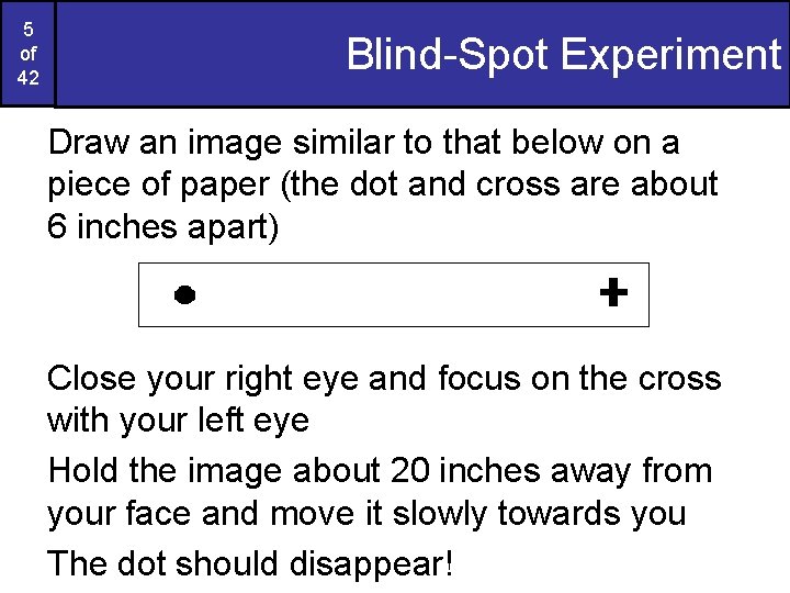 5 of 42 Blind-Spot Experiment Draw an image similar to that below on a