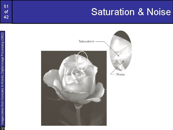 Images taken from Gonzalez & Woods, Digital Image Processing (2002) 51 of 42 Saturation