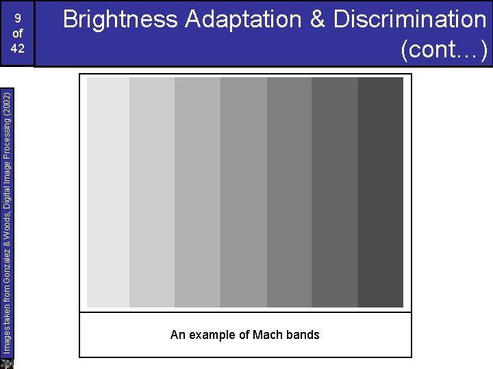 Images taken from Gonzalez & Woods, Digital Image Processing (2002) 9 of 42 Brightness