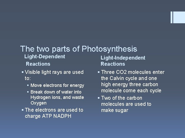 Photosynthesis The process of using visible light rays