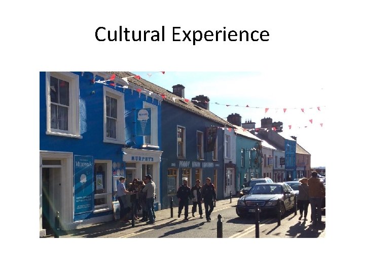 Cultural Experience 