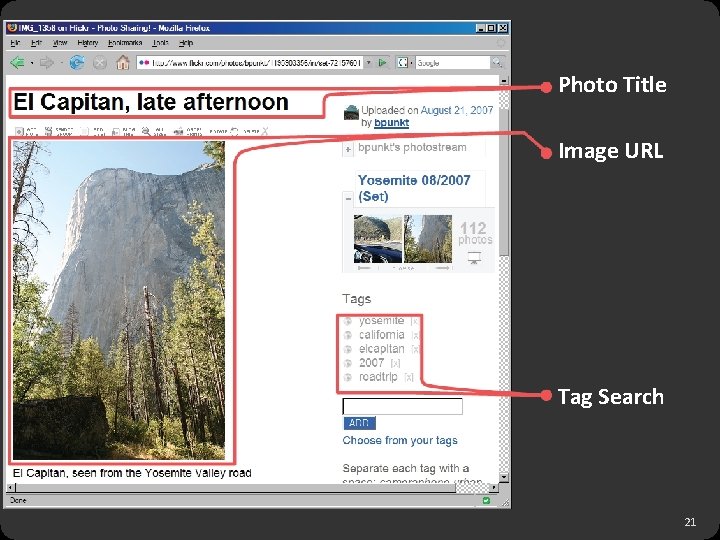 Photo Title Image URL Tag Search 21 
