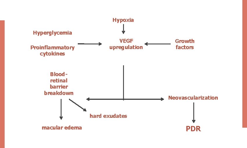 Hypoxia Hyperglycemia Proinflammatory cytokines VEGF upregulation Bloodretinal barrier breakdown Growth factors Neovascularization hard exudates