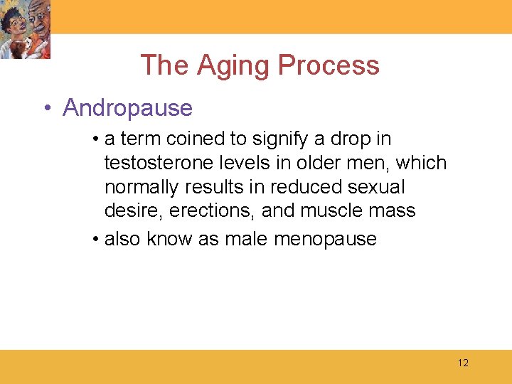 The Aging Process • Andropause • a term coined to signify a drop in