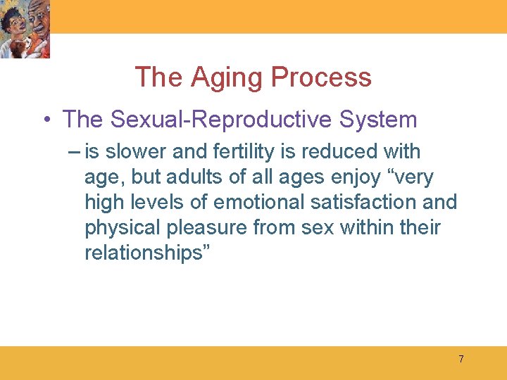 The Aging Process • The Sexual-Reproductive System – is slower and fertility is reduced