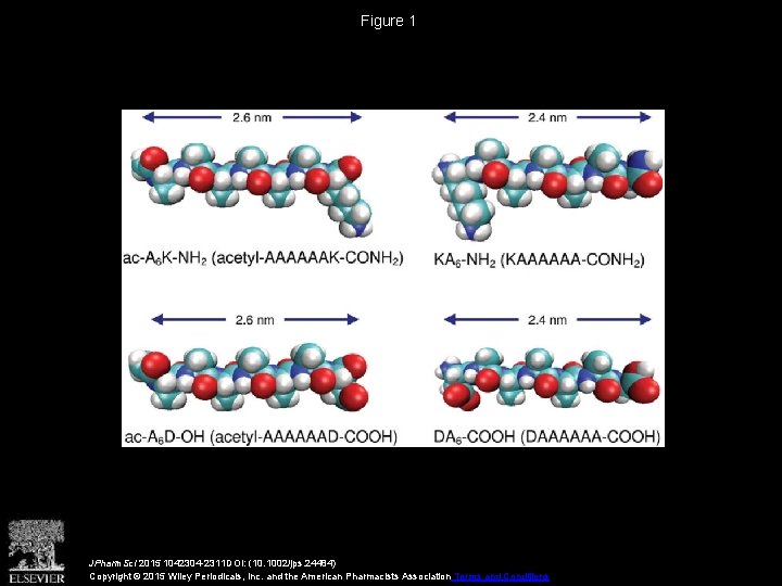 Figure 1 JPharm. Sci 2015 1042304 -2311 DOI: (10. 1002/jps. 24484) Copyright © 2015