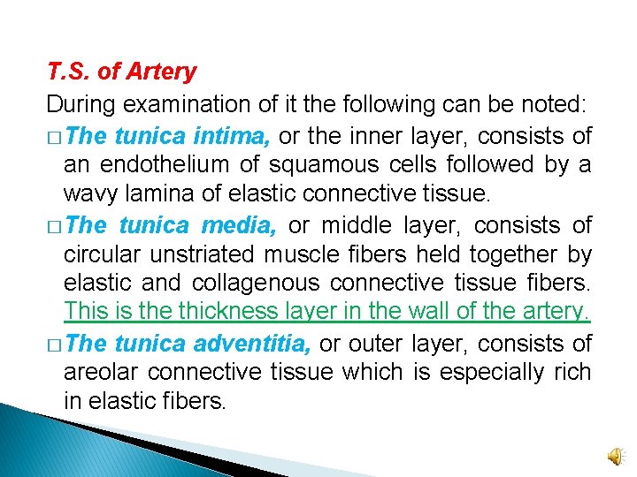 T. S. of Artery During examination of it the following can be noted: �