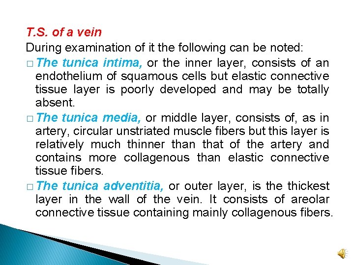 T. S. of a vein During examination of it the following can be noted: