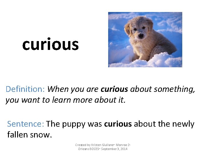 curious Definition: When you are curious about something, you want to learn more about