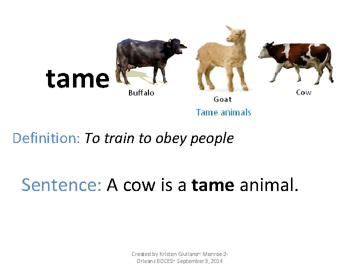 tame Definition: To train to obey people Sentence: A cow is a tame animal.