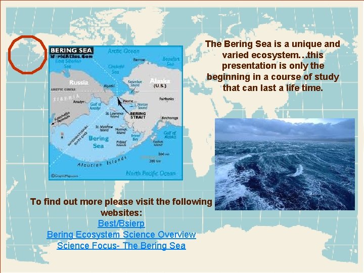 The Bering Sea is a unique and varied ecosystem…this presentation is only the beginning