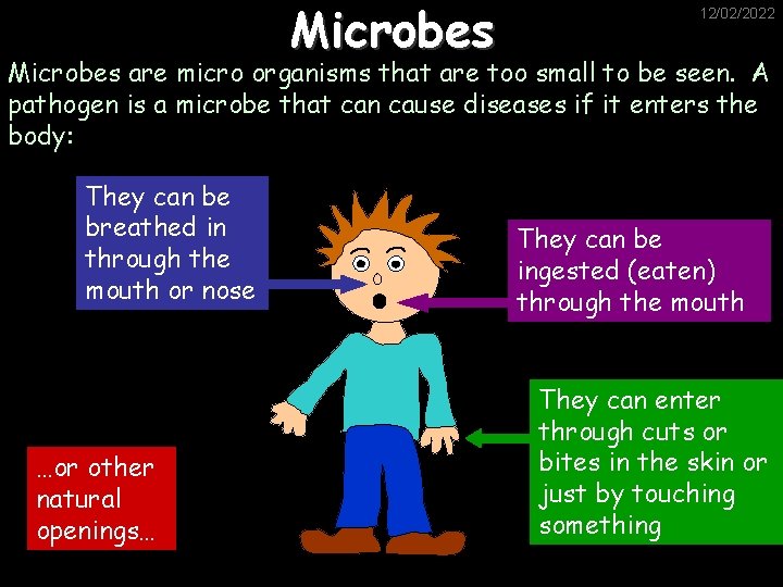 Microbes 12/02/2022 Microbes are micro organisms that are too small to be seen. A