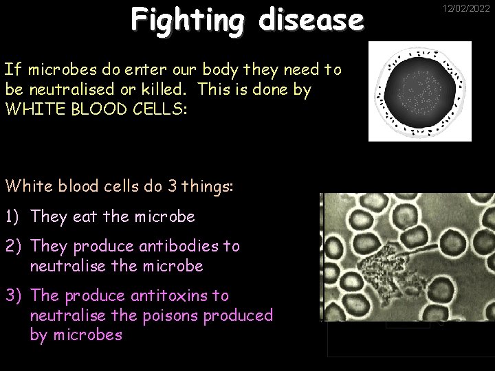 Fighting disease If microbes do enter our body they need to be neutralised or