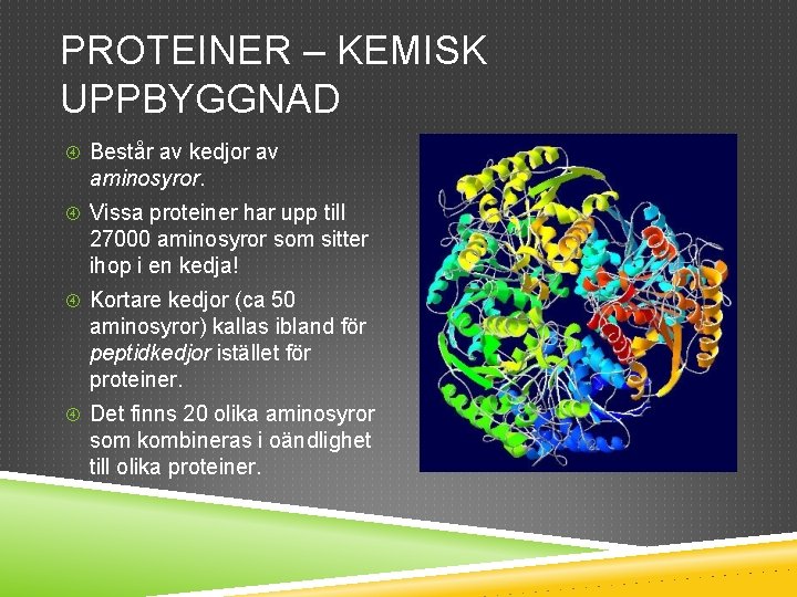 PROTEINER – KEMISK UPPBYGGNAD Består av kedjor av aminosyror. Vissa proteiner har upp till