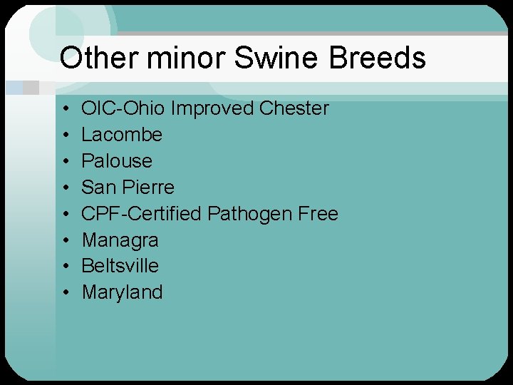 Other minor Swine Breeds • • OIC-Ohio Improved Chester Lacombe Palouse San Pierre CPF-Certified