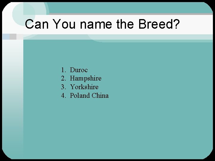 Can You name the Breed? 1. 2. 3. 4. Duroc Hampshire Yorkshire Poland China