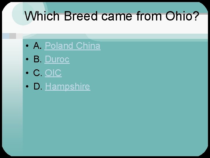 Which Breed came from Ohio? • • A. Poland China B. Duroc C. OIC