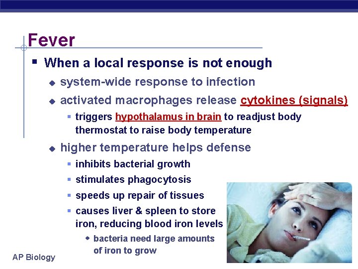 Fever § When a local response is not enough u system-wide response to infection