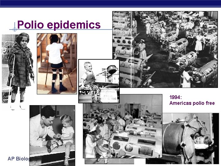 Polio epidemics 1994: Americas polio free AP Biology 