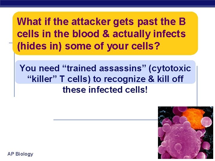 What if the attacker gets past the B cells in the blood & actually