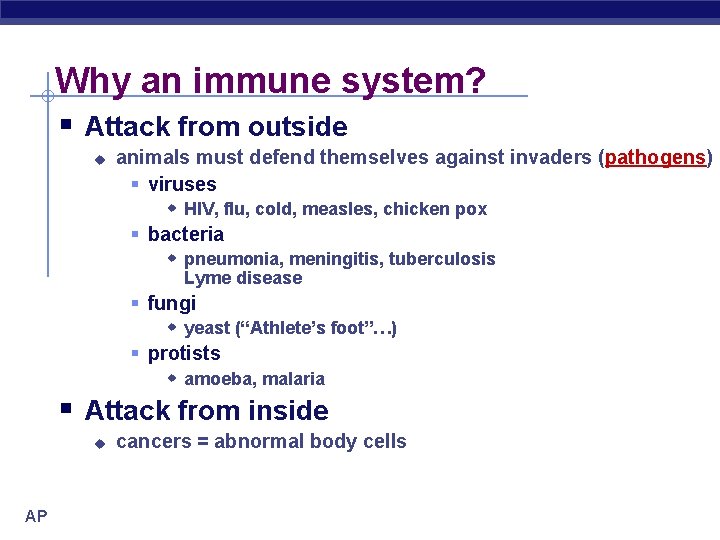 Why an immune system? § Attack from outside u animals must defend themselves against