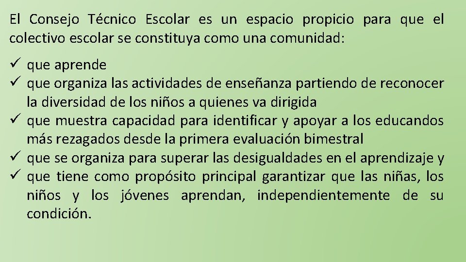 El Consejo Técnico Escolar es un espacio propicio para que el colectivo escolar se