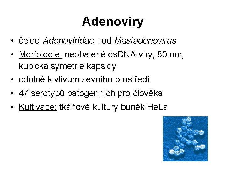 Adenoviry • čeleď Adenoviridae, rod Mastadenovirus • Morfologie: neobalené ds. DNA-viry, 80 nm, kubická