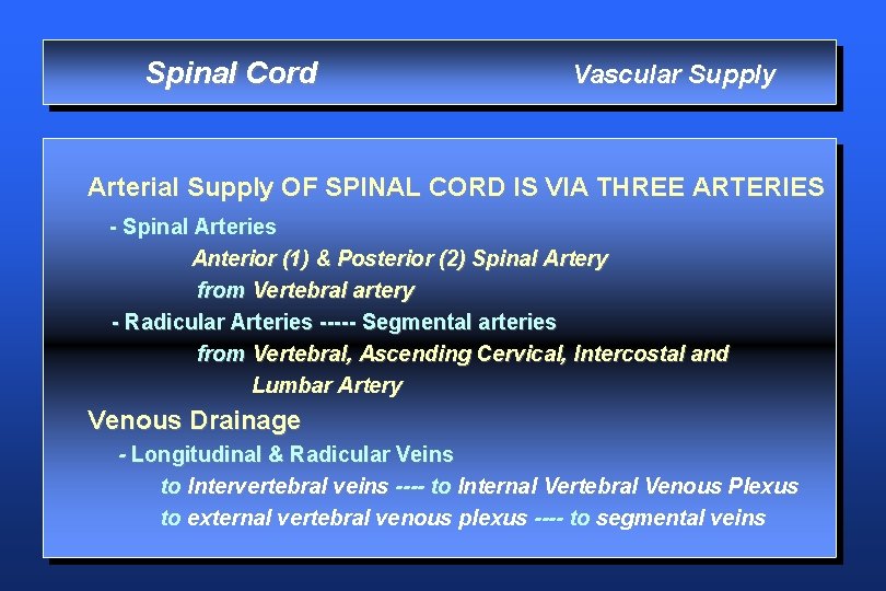 Spinal Cord Vascular Supply Arterial Supply OF SPINAL CORD IS VIA THREE ARTERIES -
