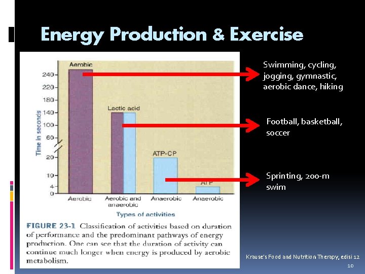 Energy Production & Exercise Swimming, cycling, jogging, gymnastic, aerobic dance, hiking Football, basketball, soccer