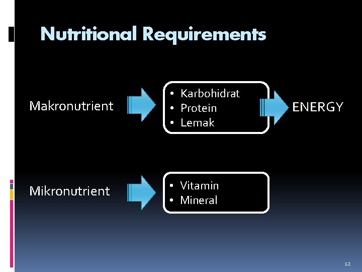 Nutritional Requirements Makronutrient • Karbohidrat • Protein • Lemak Mikronutrient • Vitamin • Mineral