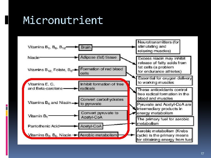 Micronutrient 27 