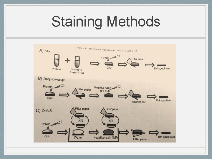 Staining Methods 