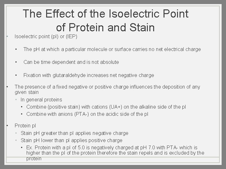  • The Effect of the Isoelectric Point of Protein and Stain Isoelectric point