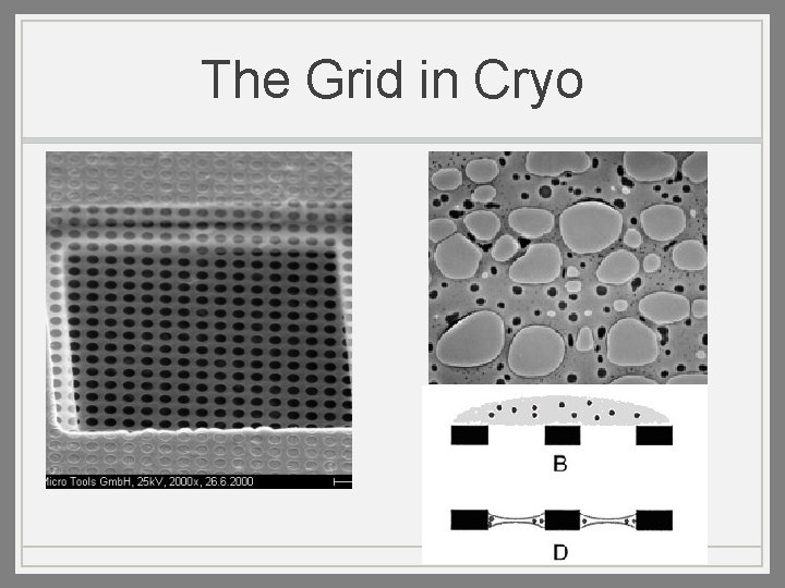 The Grid in Cryo 