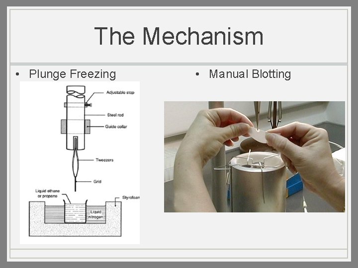 The Mechanism • Plunge Freezing • Manual Blotting 