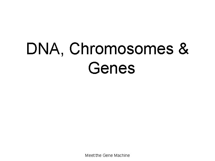 DNA, Chromosomes & Genes Meet the Gene Machine 