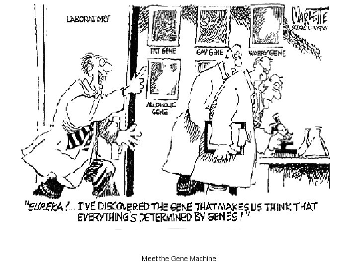 Meet the Gene Machine 