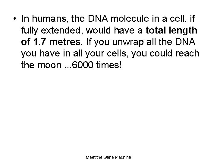  • In humans, the DNA molecule in a cell, if fully extended, would