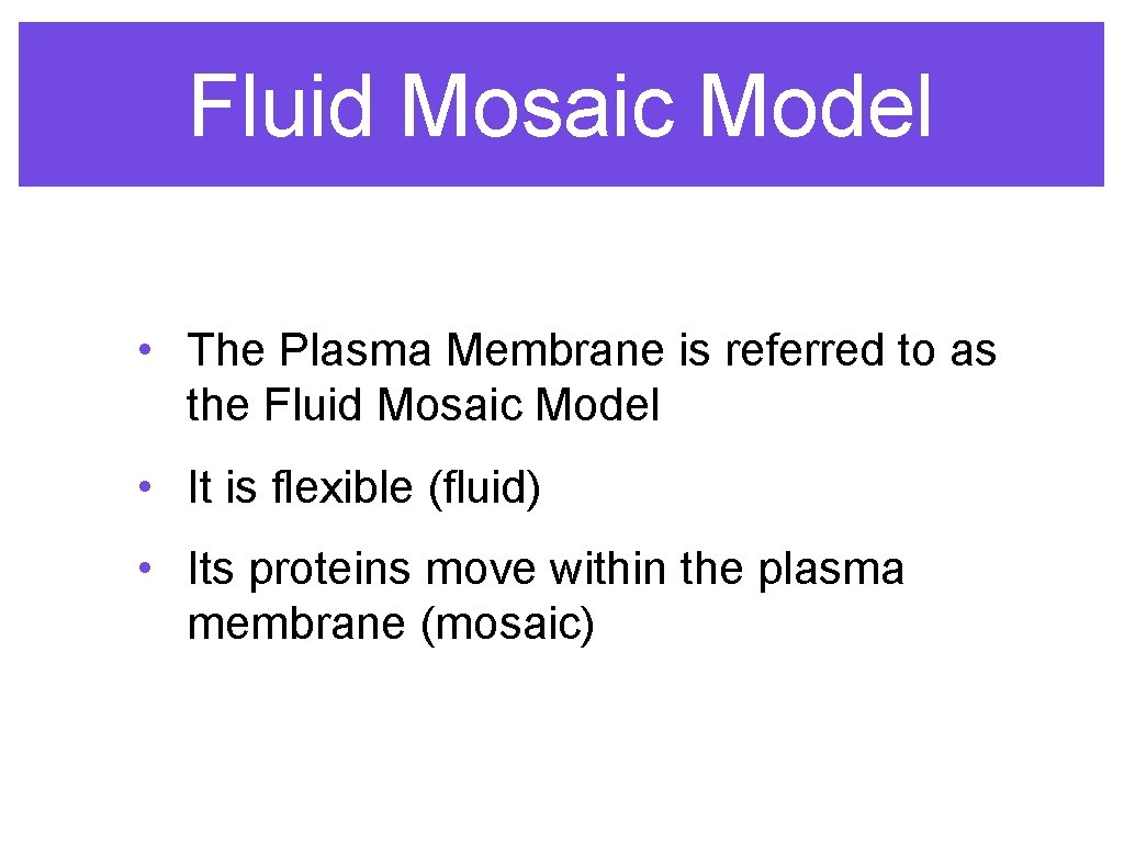 Fluid Mosaic Model • The Plasma Membrane is referred to as the Fluid Mosaic
