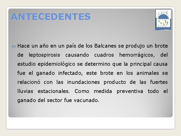 ANTECEDENTES Hace de un año en un país de los Balcanes se produjo un