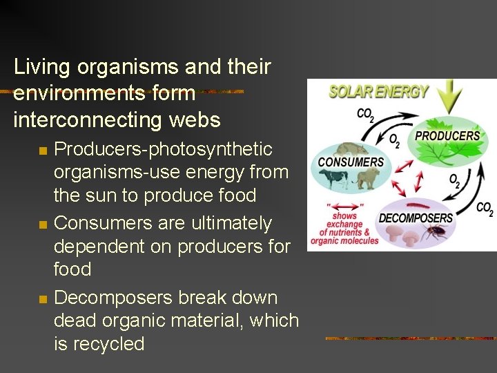 Living organisms and their environments form interconnecting webs n n n Producers-photosynthetic organisms-use energy