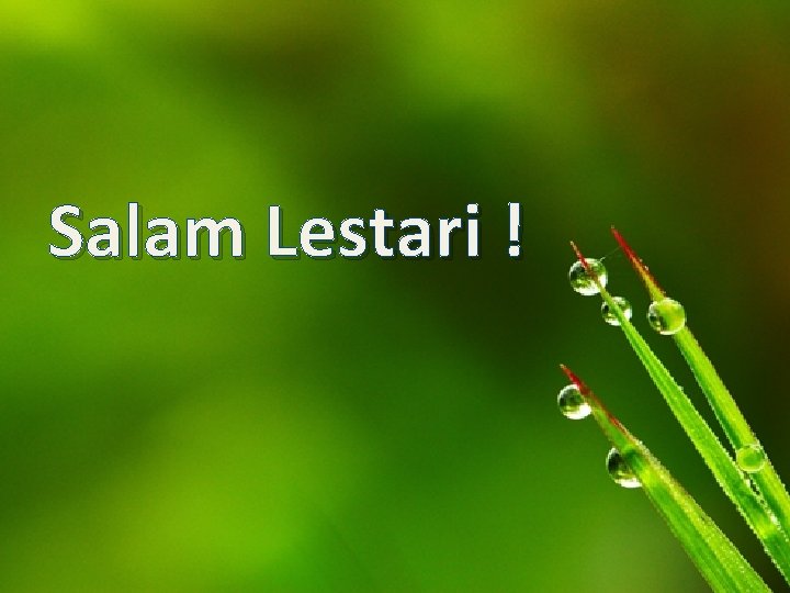 Salam Lestari ! 