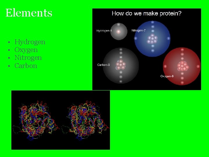 Elements • • Hydrogen Oxygen Nitrogen Carbon 