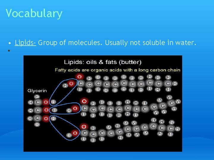 Vocabulary • Lipids- Group of molecules. Usually not soluble in water. • 