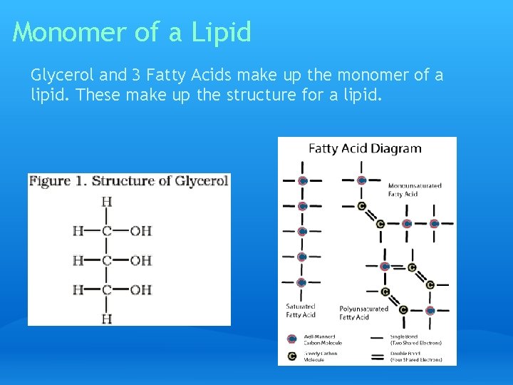 Monomer of a Lipid Glycerol and 3 Fatty Acids make up the monomer of