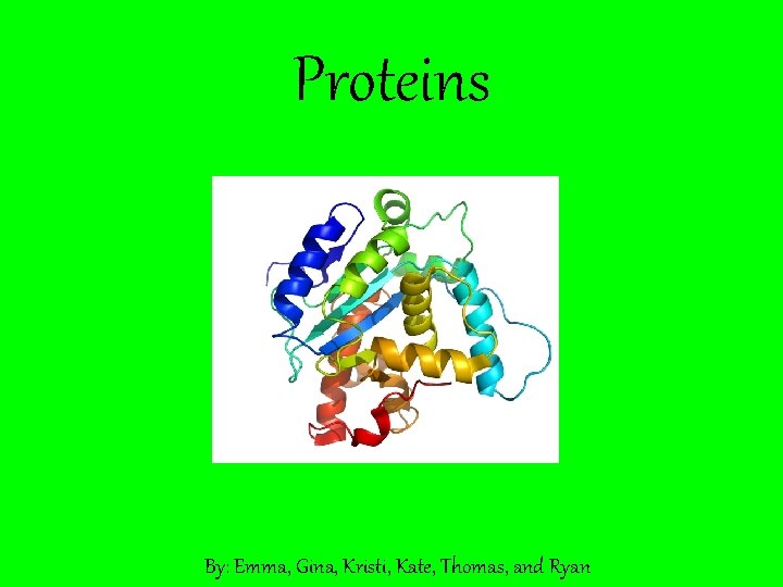 Proteins By: Emma, Gina, Kristi, Kate, Thomas, and Ryan 